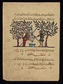 'Abd Allah ibn Fadl - Two Doctors Preparing Medicine - Walters W675A - Full Page.jpg